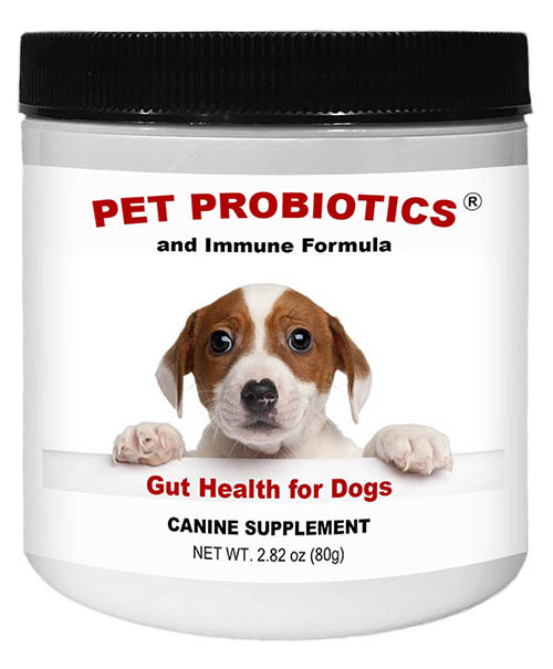 Pet Probiotics and Immune Formula